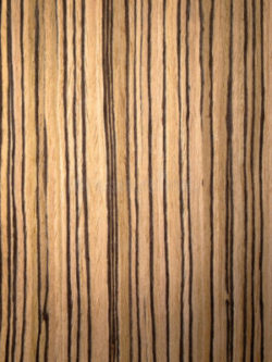 doel Bepalen groot Zebrano of zebrahout: kwaliteit met een streepje voor! - Luxpen